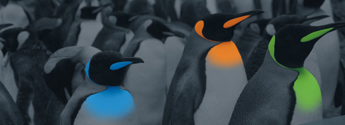 gap-consulting-header gap-consulting-header