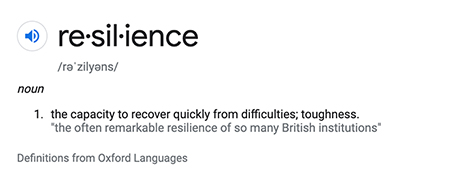 Resilience Definition, Oxford Language